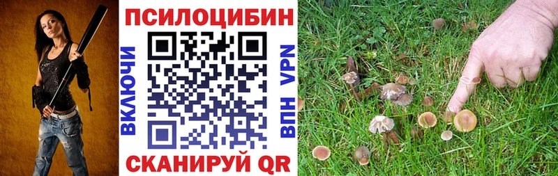 гидра как зайти  Рязань  Псилоцибиновые грибы мицелий 